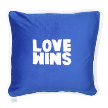 Load image into Gallery viewer, LOVE WINS/RAINBOW Velour Pillow
